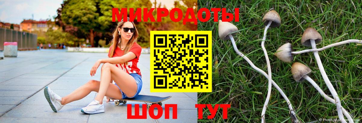 Галлюциногенные грибы Psilocybine cubensis  Вход с VPN  закладка  Бийск 