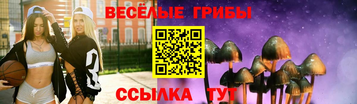 Псилоцибиновые грибы Cubensis Бийск